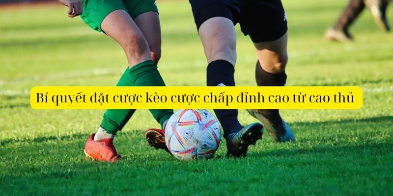 Bí quyết đặt cược kèo cược chấp đỉnh cao từ cao thủ